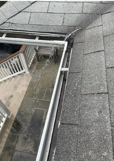 Gutter cleaning 3-100