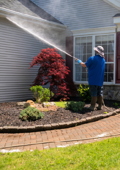 Siding Cleaning-100